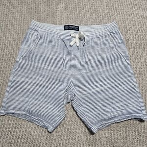 American Eagle Blue Pinstriped Shorts Men's Size Large